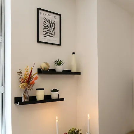 Appartement Le Chalande - Hyper Centre Toulouse